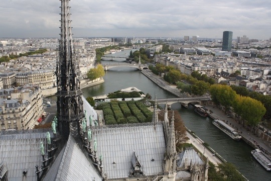 20111004-154922.jpg