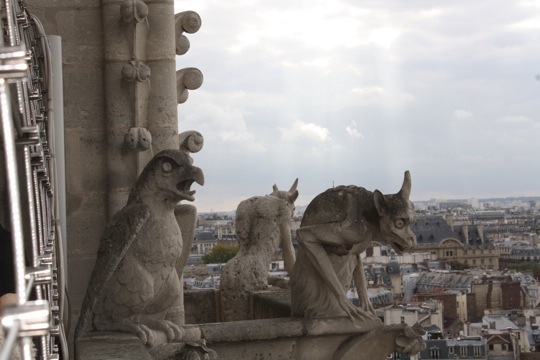 20111004-155141.jpg