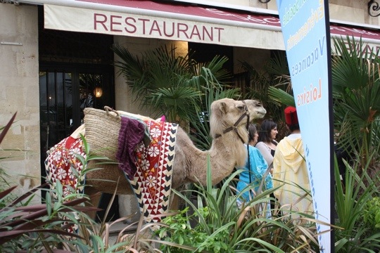 20111004-155906.jpg