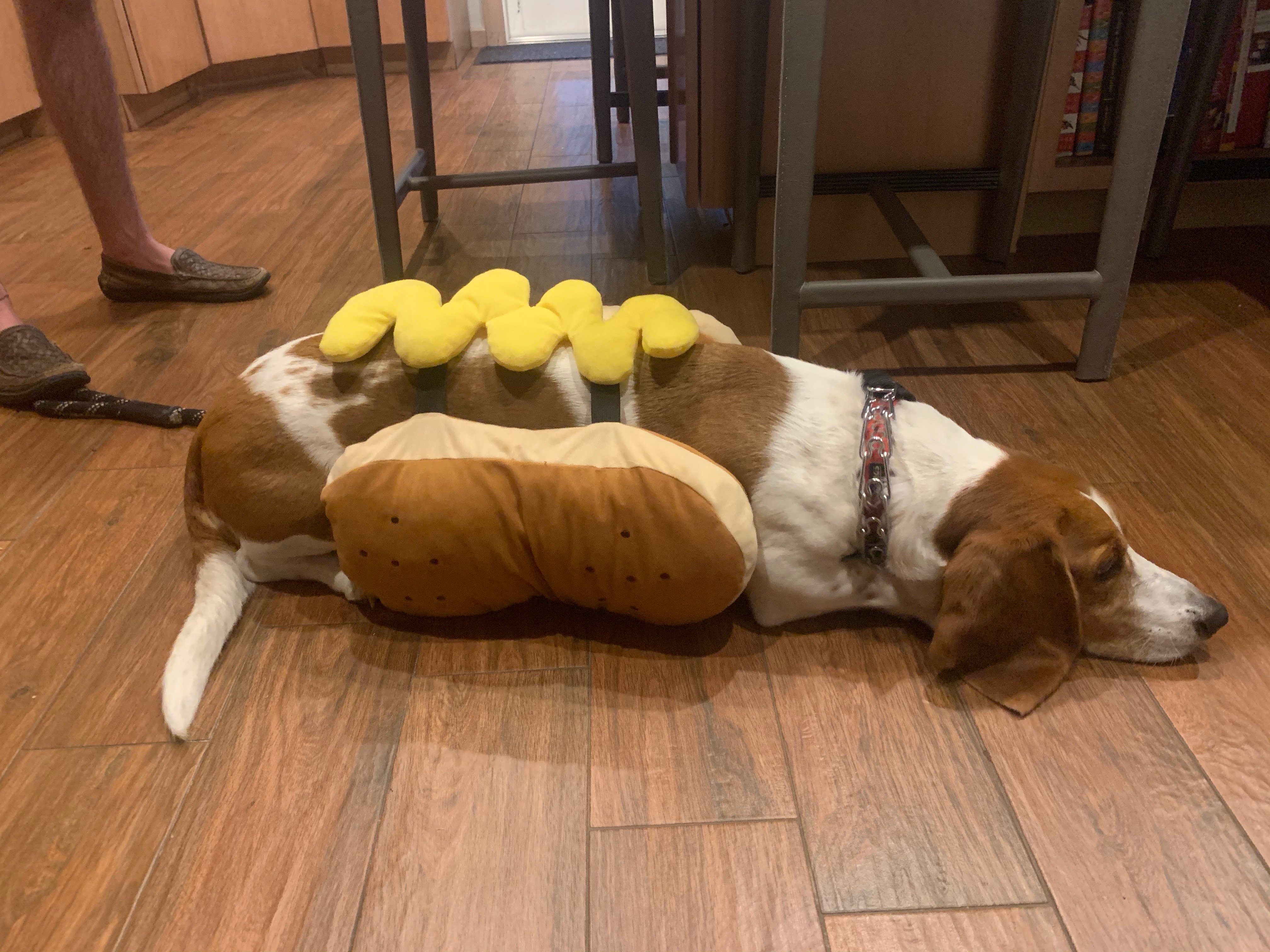 Dodger Hot Dog1