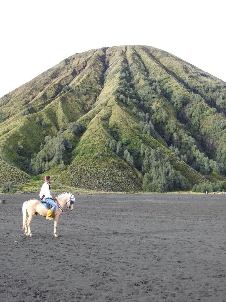 Horse and caldera.jpg