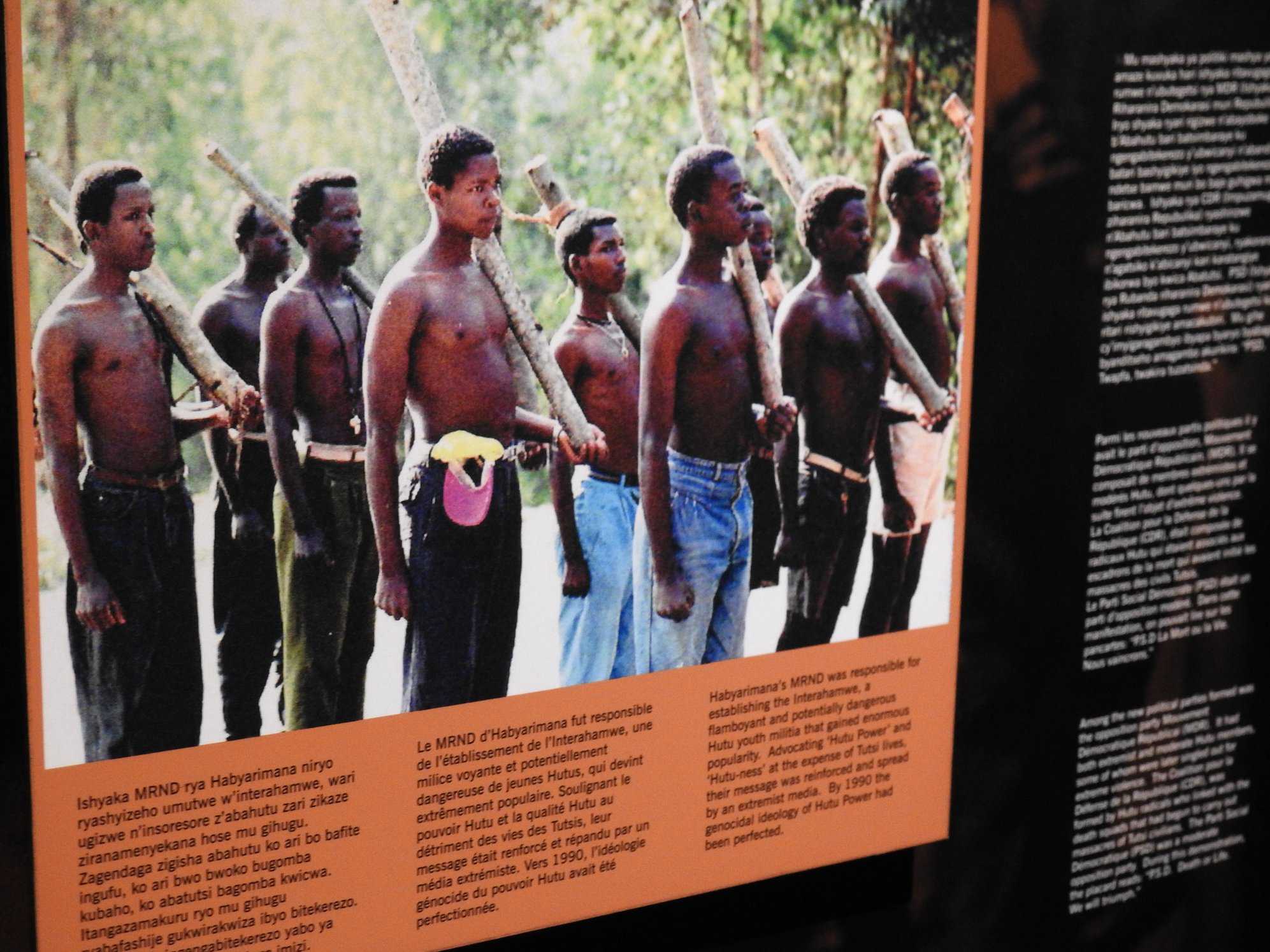 The Rwandan Genocide