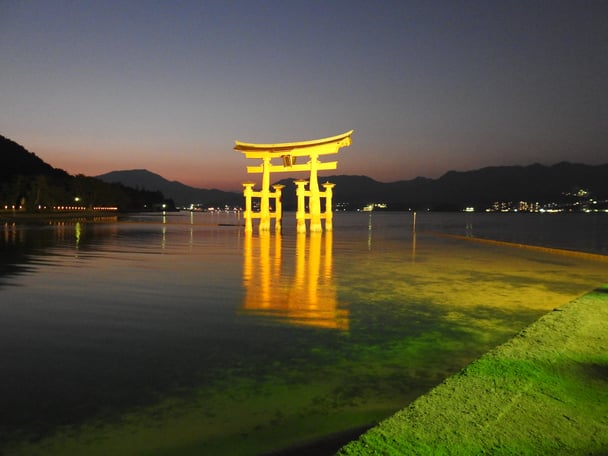 Yellow torii refection.jpg